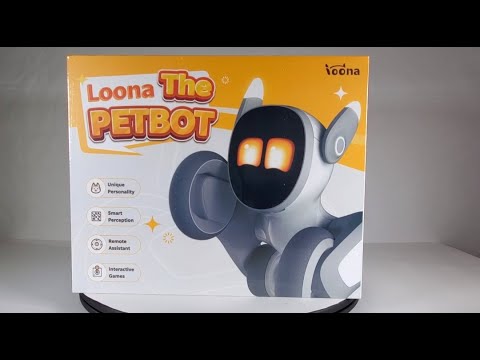 Loona Robot Petbot!