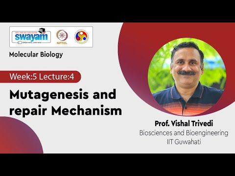 Molecular Biology Introduction Video