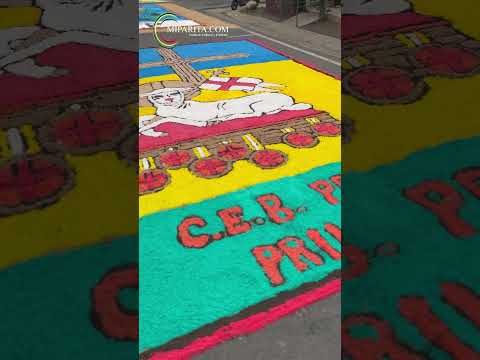 Confeccion de alfombra.shorts