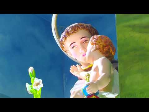 Glorious Saint of Padua Hymn