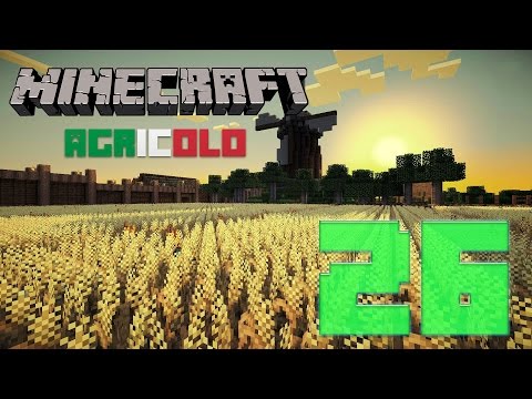 Minecraft agricolo - La facciata del granaio #26