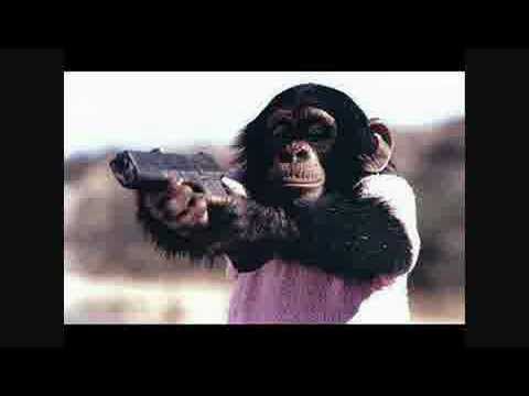 Bad Bear & Dis feat.ndoe - pet