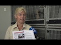 Demon: van probleemgeval naar explosieven opruimende herdershond