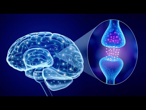 SYNAPSES and NEURONS: types and how they work in the brain🧠⚡