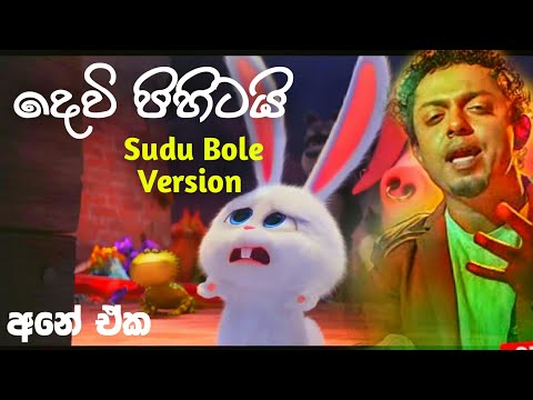 Dewi pihitai (දෙවි පිහිටයි ) Song  Sudu bole version