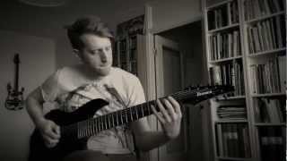 Terminal Function - The Self Constructed Chameleon Being (playthrough) - Ibanez RG8