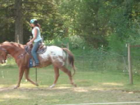 SORPRESA EN LA MANGA_Reynaldo Armas.wmv