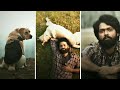 Aziyat 777 Charlie Edit 777 Charlie Whatsapp Status