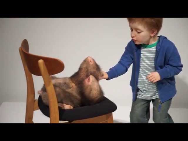 Exposition: «Patricia Piccinini. Une autre vie / Another Life» à la Galerie de l&rsquo;UQAM