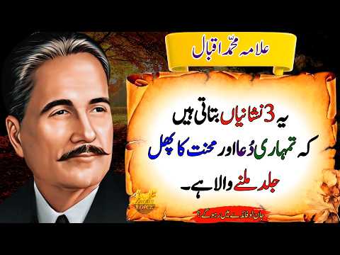 These 3 Signs Show Your Prayers and Efforts Are About to Pay Off | Mindset Quotes | Wisdom Quotes