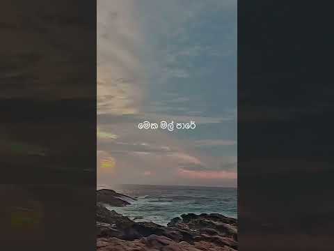 Beach Vibes.. #srilanka #mathara #shorts #tiktok #reals #viralvideo #yukibeats #eveningvibes