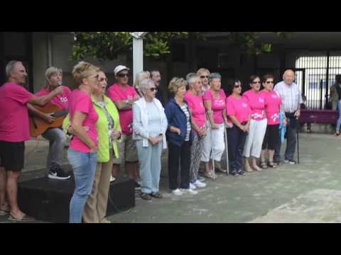 Zubi Zahar herri ikastolaren 50 urteurrena