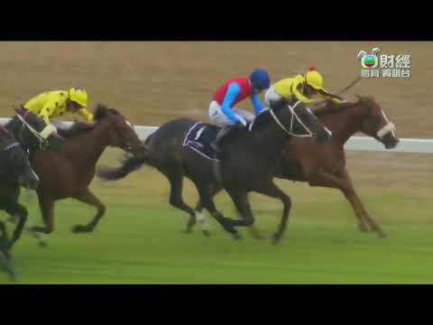 2023 World Pool The Invitational - USA's Hope (美國願望) - K.de.Melo