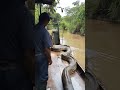 Anaconda In The Amazon River Wild Giant Snake Amazon River Wild Anaconda Giant Snake Predation