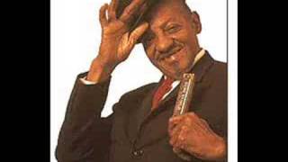 Sonny Boy Williamson &amp; Animals - Nightime Is The Right Time