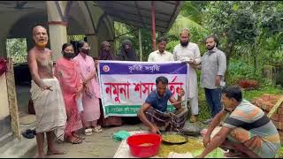 নমুনা শস্য কর্তন,ঝালকাঠী সদর উপজেলা।