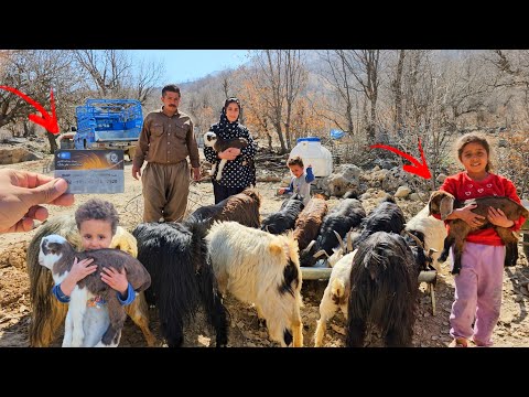 The Fight for Survival in the Zagros:A True Story of a Nomadic Family and Their Journey to Buy Sheep