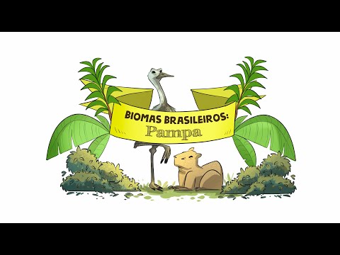 BIOMAS BRASILEIROS: PAMPA