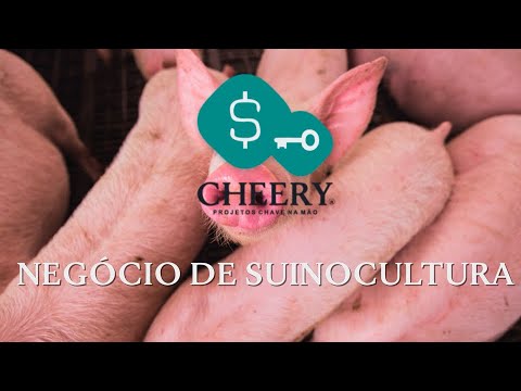, title : 'Negócio de Suinocultura - Projeto Chave na Mão - Cheery Group'