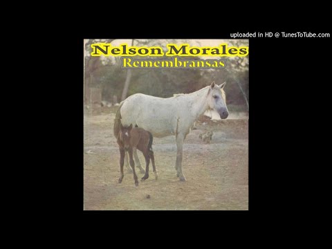 01. Cajón de Arauca Apureño - Nelson Morales