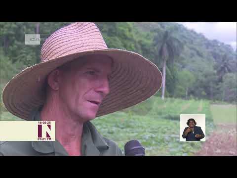 Autoabastecimiento territorial en montañas de Guantánamo