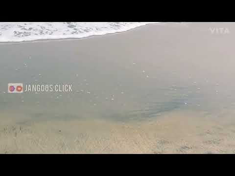 The end theme song | sudani from nigeria Movie theme song | Beach Video