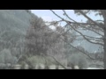 Fallulah - Give Us A Little Love (Bird beats dubstep ...