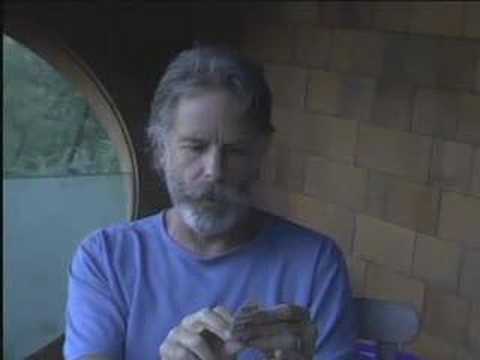 Electric Apricot Sticker chat!