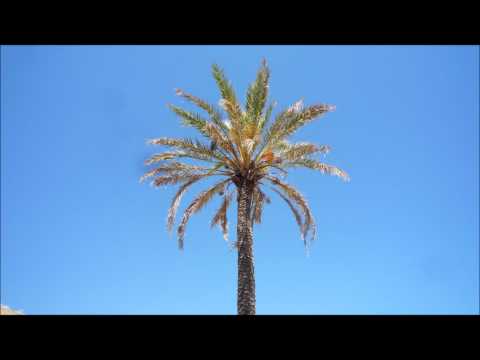 Dj OpiOm - Sphynx Vs I love Ibiza (OpiOm Bootleg mix).mp3.wmv