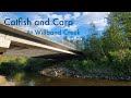 Video Thumbnail for Catfish and Carp at Willband Creek (Part Three)