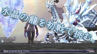 【FFXI】水晶の龍初戦【COEIROINK】