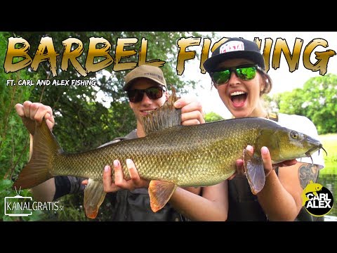 SURFACE FISHING FOR BARBEL - ft. Carl And Alex Fishing