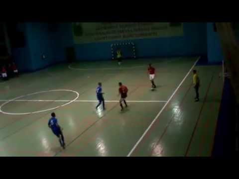 DreamTeam – Cykoria