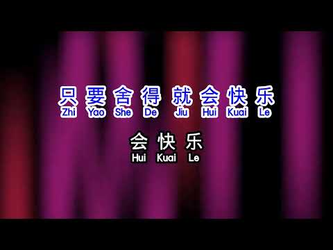 碧娜   我不后悔 wo bu hou hui