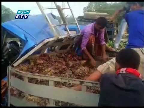 ময়মনসিংহের ভালুকায় পিকআপ ও ট্রাকের সংঘর্ষে ২ সবজি ব্যবসায়ী নিহত