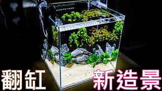 30立方缸魚缸造景 | 魚缸細菌量過高只能砍掉重練? | 青龍石造景 | 超白缸造景