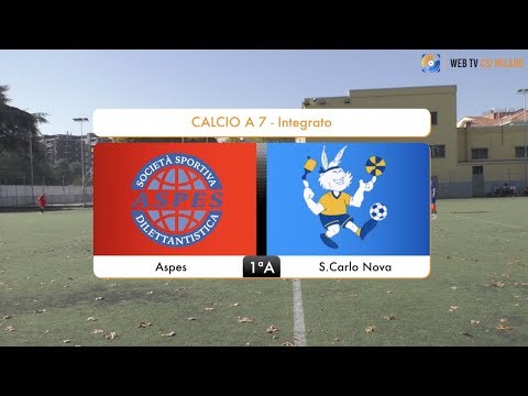 Sintesi Aspes - S. Carlo Nova