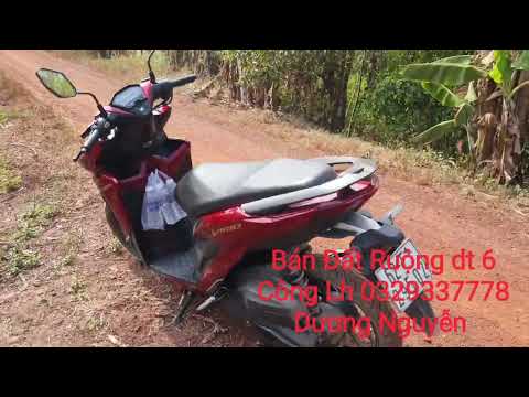 Nhà Đất Bán Đất Ruộng vườn dt 6 Công Giá 230tr Công Tân Thạnh LA