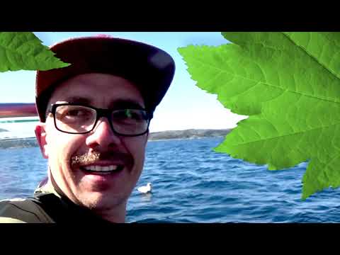 Norwegen Lengfischen 2021 Teil_1