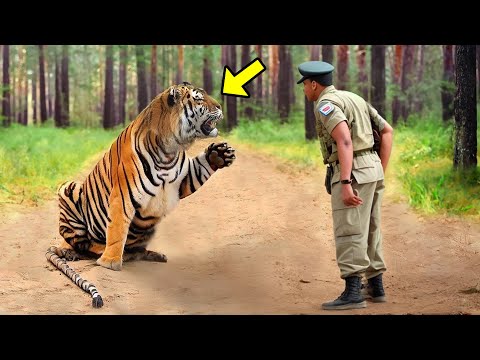 Tiger Begs Soldier For Help, But The Reason Behind It Surprised Everyone!