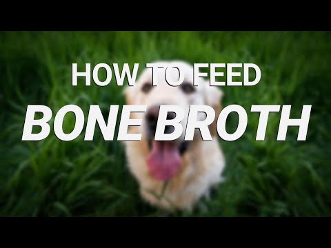 Bone Broth: A boost to any dog meal | Real Dog Food On...