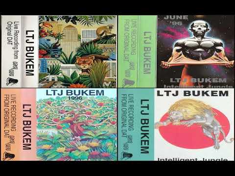 LTJ Bukem - Intelligent Jungle (1996)