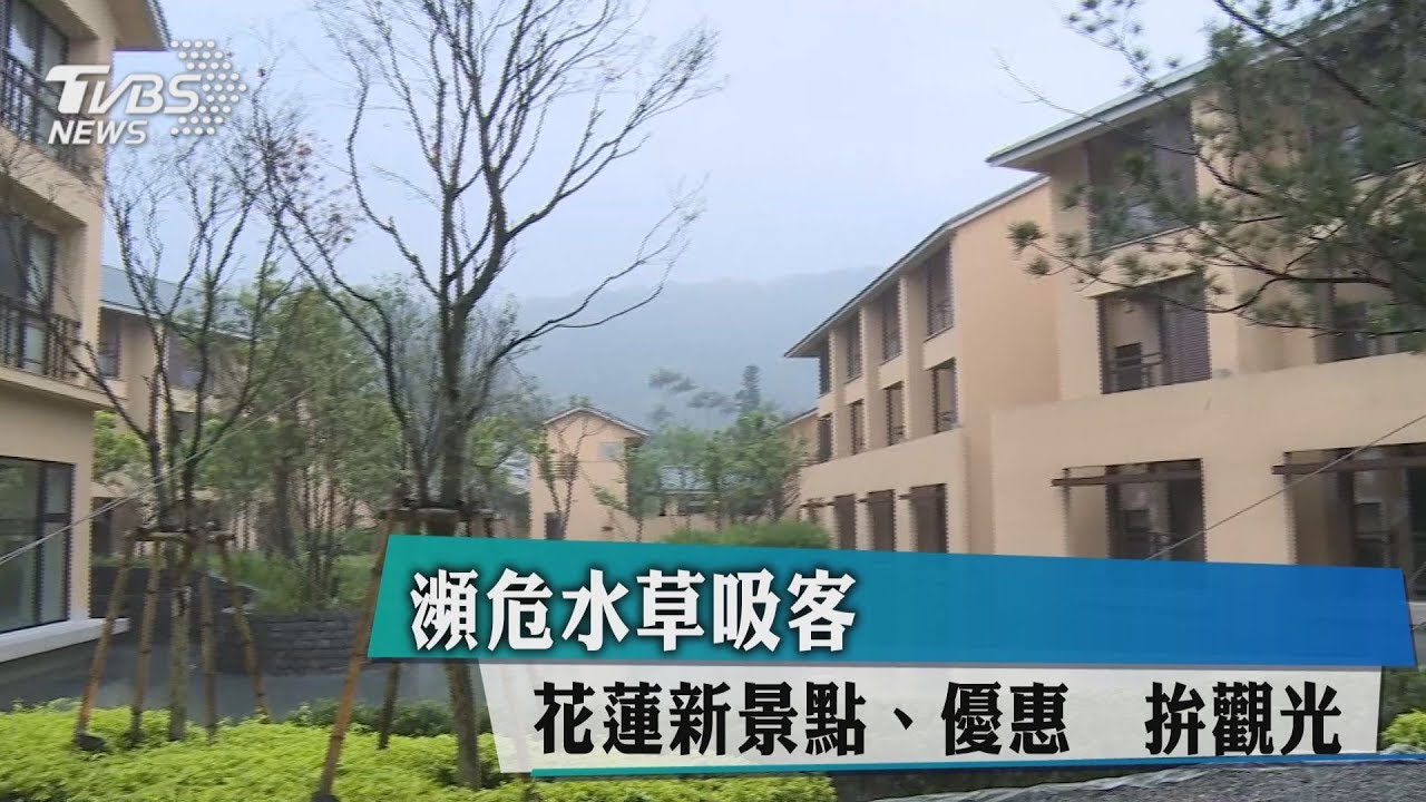 瀕危水草吸客　花蓮新景點、優惠拚觀光　
