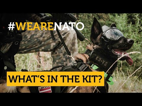 What's in the kit of a 🇱🇻 Latvian special forces’ dog handling team?