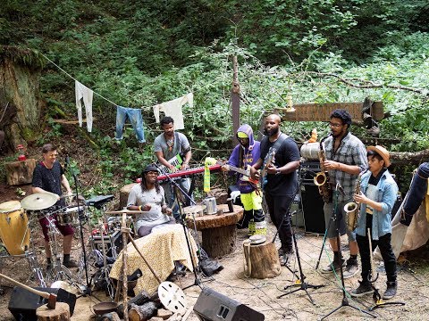 Ghost-Note - Can't Get Right - Old Growth Sessions @Pickathon 2017 S02E08