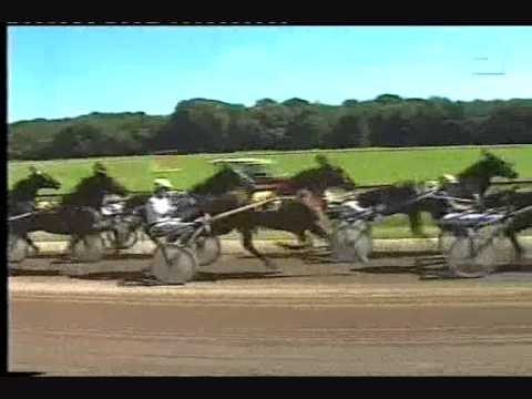 Derby "M" Nederland 1998 -Milo Windspiel