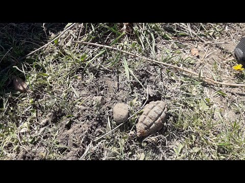 У Коломиї чоловіки садили туї та знайшли гранату. ВІДЕО