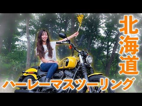 嬉しい再会に元気を貰った北海道ハーレーイベント！｜Harley-Davidson street bob【モトブログ】