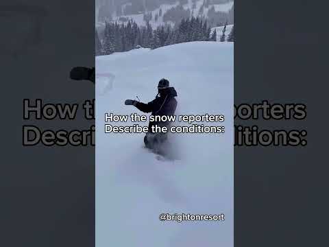 How snow reporters describe the conditions #skiing #skiseason #skitok #snow #skiingstunts #ski
