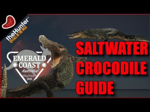 Saltwater Crocodile Guide and Hunt | theHunter Call of the Wild